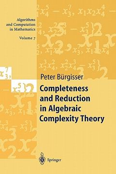 portada completeness and reduction in algebraic complexity theory (en Inglés)