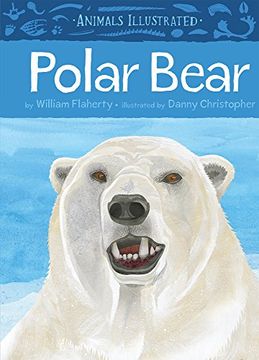 portada Polar Bear