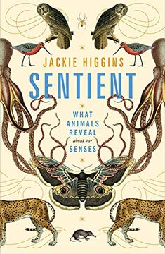 portada Sentient: What Animals Reveal About our Senses (in English)