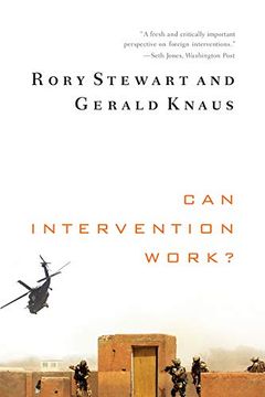 portada Can Intervention Work? (Norton Global Ethics Series) (in English)