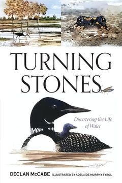 portada Turning Stones: Discovering the Life of Water (en Inglés)