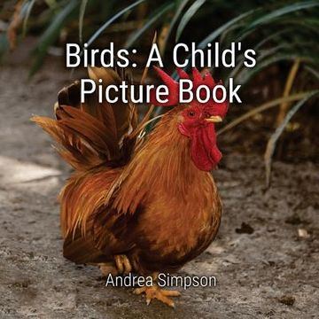 portada Birds: A Child's Picture Book (en Inglés)