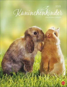 portada Kaninchenkinder Posterkalender 2025: Von Monika Wegler. Ein Bezaubernder Tierkalender mit Süßen Fotos. Dekorativer Kalender für Tierfreunde. Hochformat 34 x 44 cm.