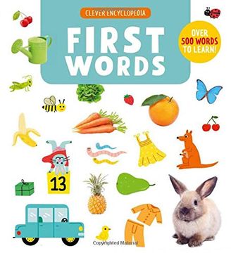 portada First Words: Over 500 Words to Learn! (en Inglés)