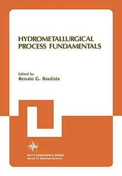 portada Hydrometallurgical Process Fundamentals (in English)