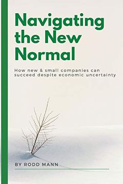 portada Navigating the new Normal: How new & Small Companies can Succeed Despite Economic Uncertainty (Issn) (en Inglés)