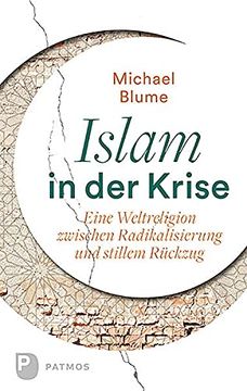 portada Islam in der Krise: Eine Weltreligion Zwischen Radikalisierung und Stillem Rückzug (in German)