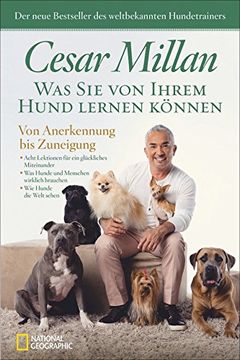 portada Was sie von Ihrem Hund Lernen Können: Von Anerkennung bis Zuneigung (in German)