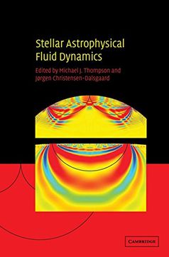 portada Stellar Astrophysical Fluid Dynamics (in English)