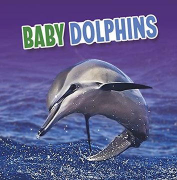 portada Baby Dolphins (Baby Animals) 