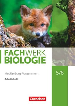 portada Fachwerk Biologie - Mecklenburg-Vorpommern und Thüringen 2023 - 5. /6. Schuljahr: Arbeitsheft (en Alemán)