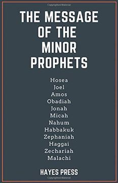portada The Message of the Minor Prophets (en Inglés)