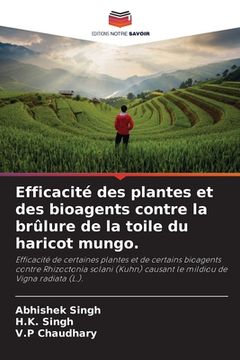 portada Efficacité des plantes et des bioagents contre la brûlure de la toile du haricot mungo.