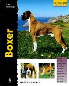 portada Boxer (Excellence) (in Spanish)