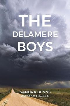portada The Delamere Boys (en Inglés)