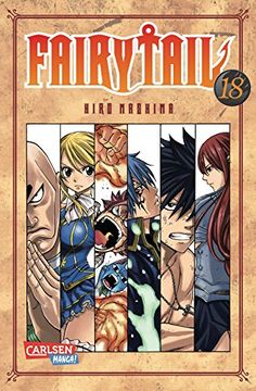 portada Fairy Tail 18 (en Alemán)