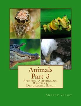 portada Animals Part 3: Spiders, Amphibians, Reptiles, Dinosaurs, Birds