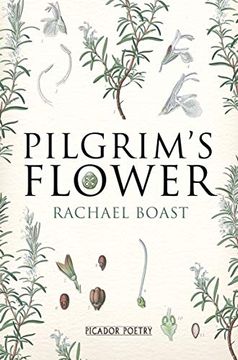 portada Pilgrim's Flower (en Inglés)