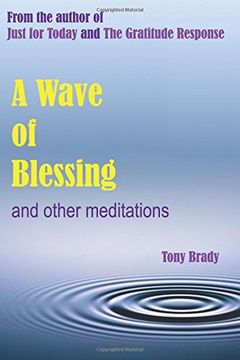 portada A Wave of Blessing and other meditations: Blessings, Reflections and Meditations from the author of Just for Today and The Gratitude Response
