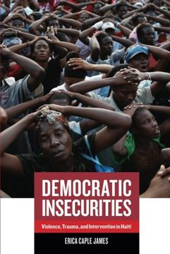 portada Democratic Insecurities (California Series in Public Anthropology) (in English)