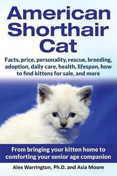 portada American Shorthair Cat: From bringing your kitten home to comforting your senior age companion (en Inglés)