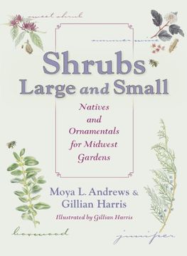 portada Shrubs Large and Small: Natives and Ornamentals for Midwest Gardens 