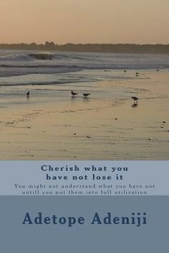portada Cherish what you have not lose it: You might not understand what you have not untill you put them into full utilization (in English)