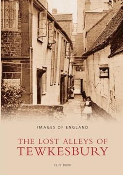 portada The Lost Alleys of Tewkesbury
