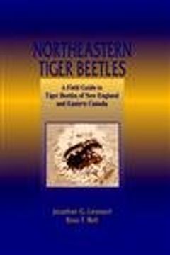 portada Northeastern Tiger Beetles (en Inglés)