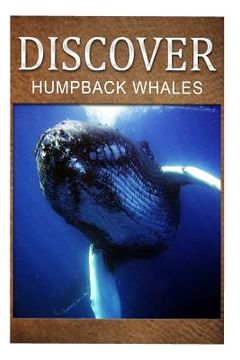 portada Humpback Whales - Discover: Early reader's wildlife photography book (in English)
