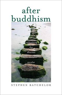 portada AFTER BUDDHISM (in English)