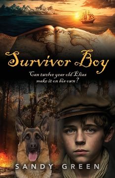 portada Survivor Boy (en Inglés)