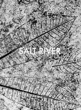 portada Sebastian Posingis: Salt River