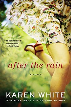 portada After the Rain (Falling Home Novel) 