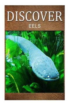 portada Eels - Discover: Early reader's wildlife photography book (in English)