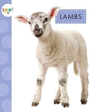 portada Lambs (Spot Baby Farm Animals) (en Inglés)