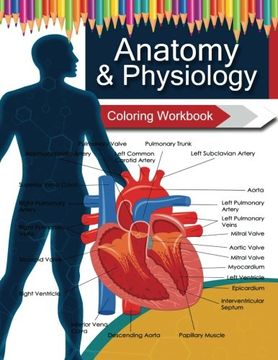portada Anatomy & Physiology Coloring WorkBook Books (en Inglés)