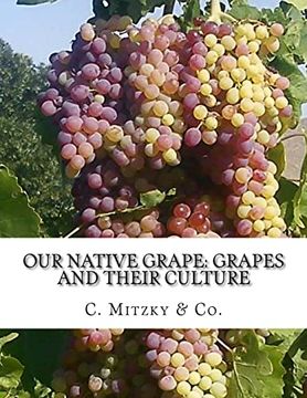portada Our Native Grape: Grapes and Their Culture: A List of old and new Grape Varieties (en Inglés)