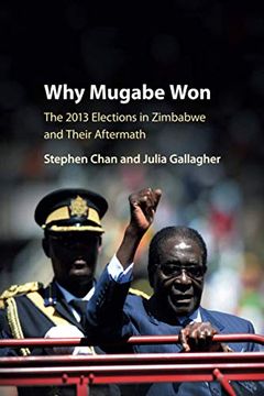 portada Why Mugabe Won: The 2013 Elections in Zimbabwe and Their Aftermath (en Inglés)