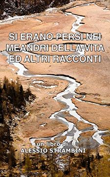 portada Si Erano Persi nei Meandri Della Vita ed Altri Racconti (en Italiano)