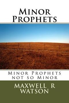 portada Minor Prophets: Minor Prophets not so Minor (en Inglés)
