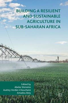 portada Building a Resilient and Sustainable Agriculture in Sub-Saharan Africa