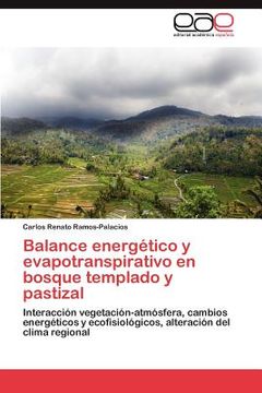 portada balance energ tico y evapotranspirativo en bosque templado y pastizal (in English)