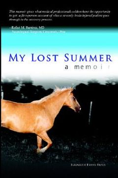 portada my lost summer (en Inglés)