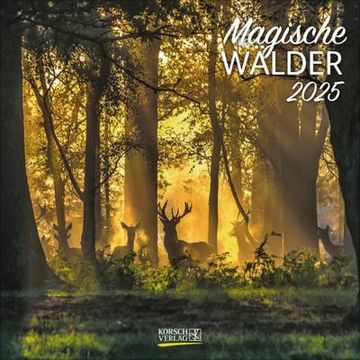 portada Magische Wälder 2025: Broschürenkalender mit Ferienterminen. Format: 30 x 30 cm