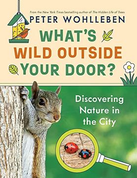 portada What's Wild Outside Your Door? Discovering Nature in the City (en Inglés)