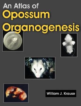 atlas of opossum organogenesis