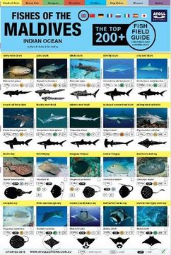 portada Maldives Fish Field Guide "Top 200+" 