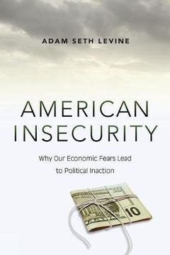 portada American Insecurity: Why our Economic Fears Lead to Political Inaction (in English)