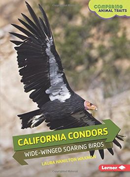 portada California Condors: Wide-Winged Soaring Birds